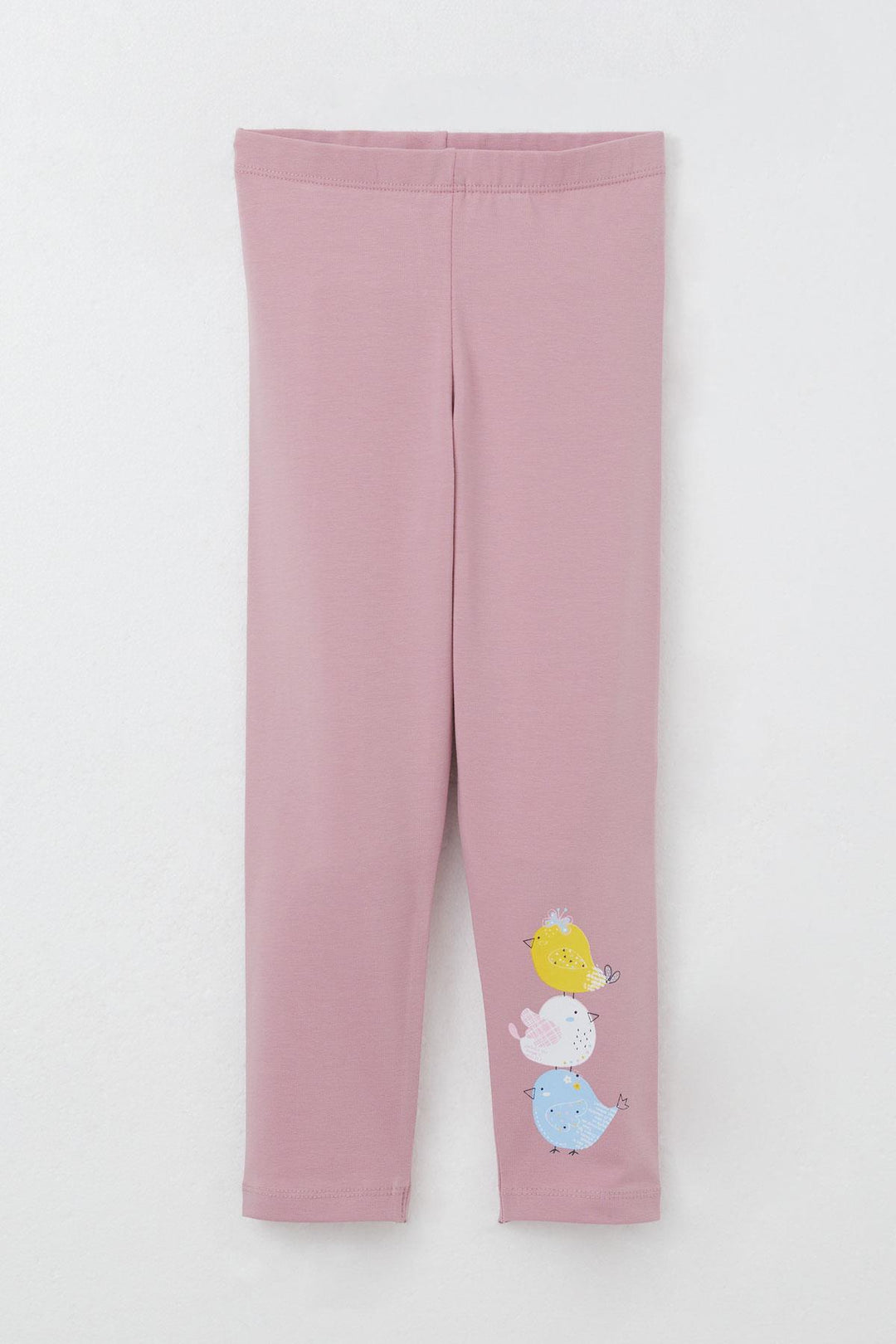 BRE Breeze Girl Child Legging Set Cute Colorful Bird Printed 1.5-5 Years, Ecru - Worksop