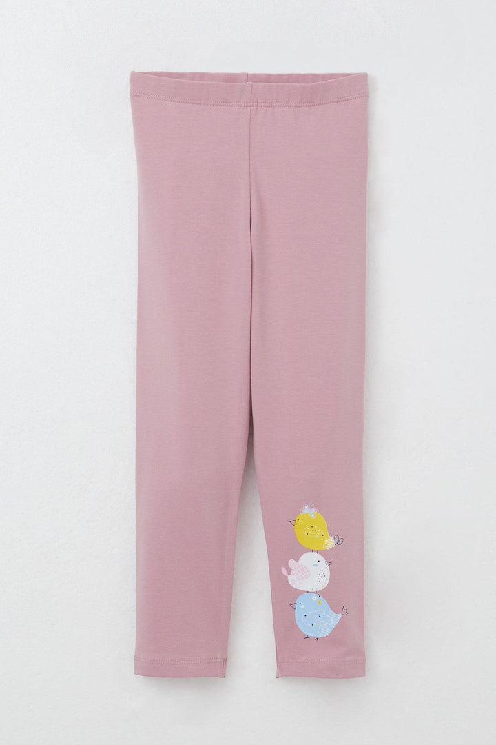 BRE Breeze Girl Child Legging Set Cute Colorful Bird Printed 1.5-5 Years, Ecru - Worksop