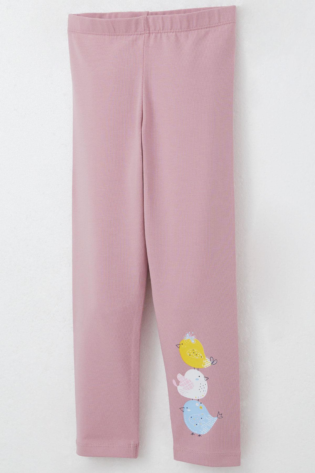 BRE Breeze Girl Child Legging Set Cute Colorful Bird Printed 1.5-5 Years, Ecru - Worksop