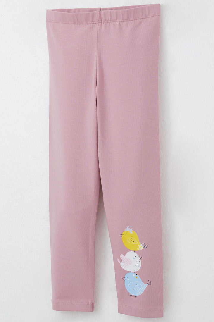 BRE Breeze Girl Child Legging Set Cute Colorful Bird Printed 1.5-5 Years, Ecru - Worksop