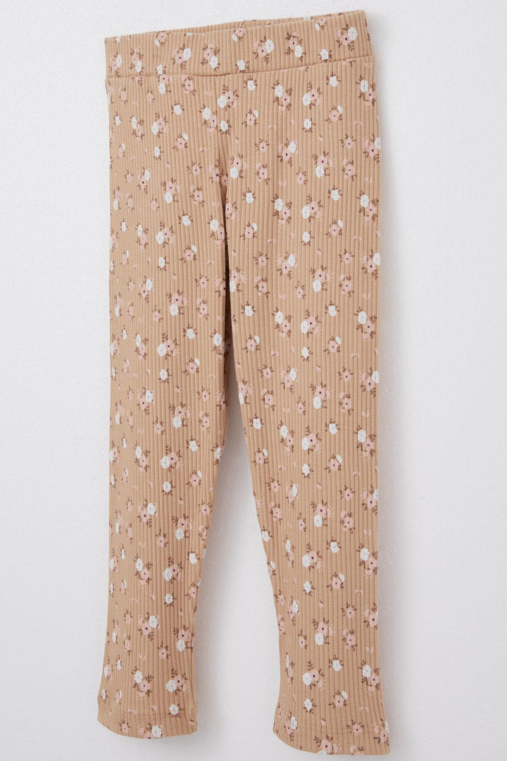 BRE Breeze Girl Child Legging Set Cute Girl Printed Floral 2-6 Years, Salmon - Hammersmith
