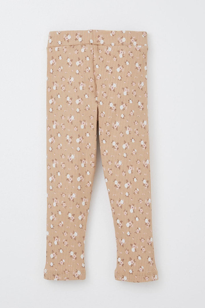 BRE Breeze Girl Child Legging Set Cute Animal Printed Floral 1.5-5 Years, Ecru - Herne