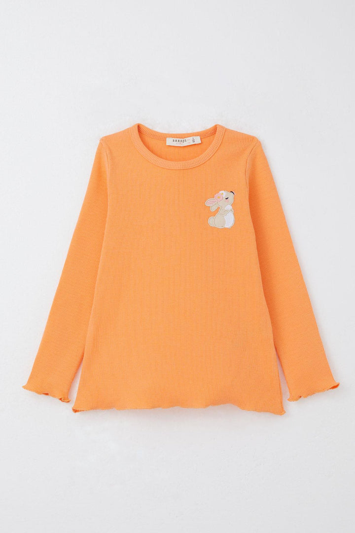 BRE Breeze Girl's Leggings Set with Cute Bunny Embroidery, 2-6 Years, Salmon - Inverness