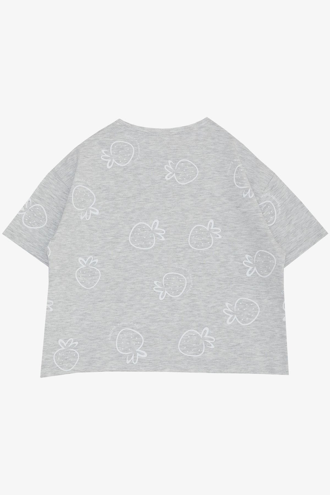 BRE Breeze Girl's T-shirt Crop Strawberry & Text Printed 62 Years, Light Grey Melange - Salon-de-Provence