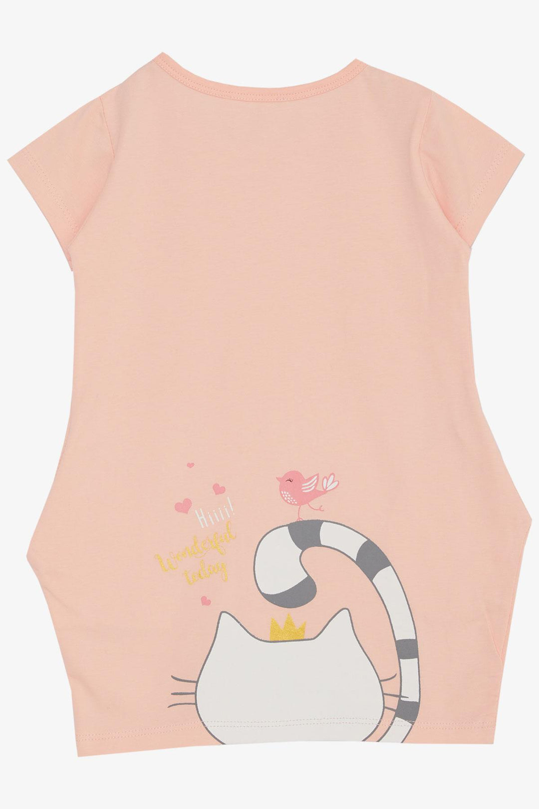 BRE Breeze Girl Child Tunic Dress Friendship Themed Princess Kitty Printed 1.5-5 Years, Powder - Caloundra