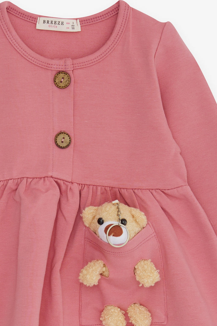BRE Breeze Girl Child Long Sleeve Dress with Bear Accessory, 2-6 Years, Rose Pink - Maricopa