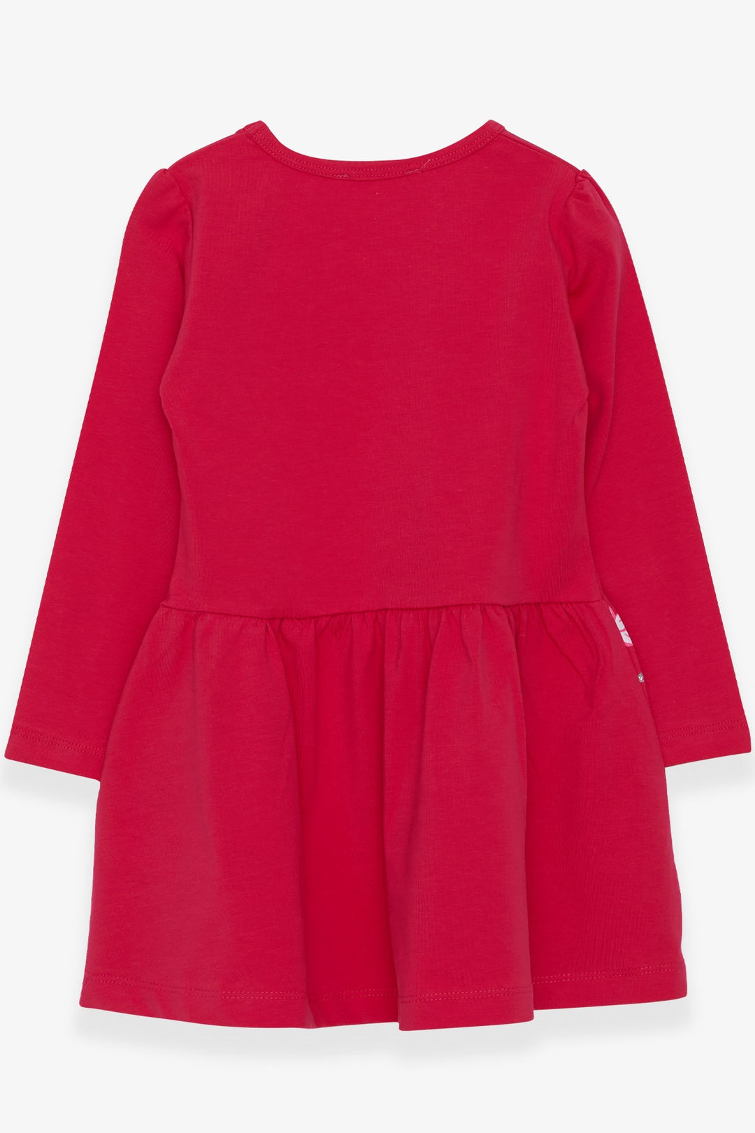 BRE Breeze Girl Child Long Sleeve Dress Floral Printed Patterned 3-7 Years, Pink - Augsburg
