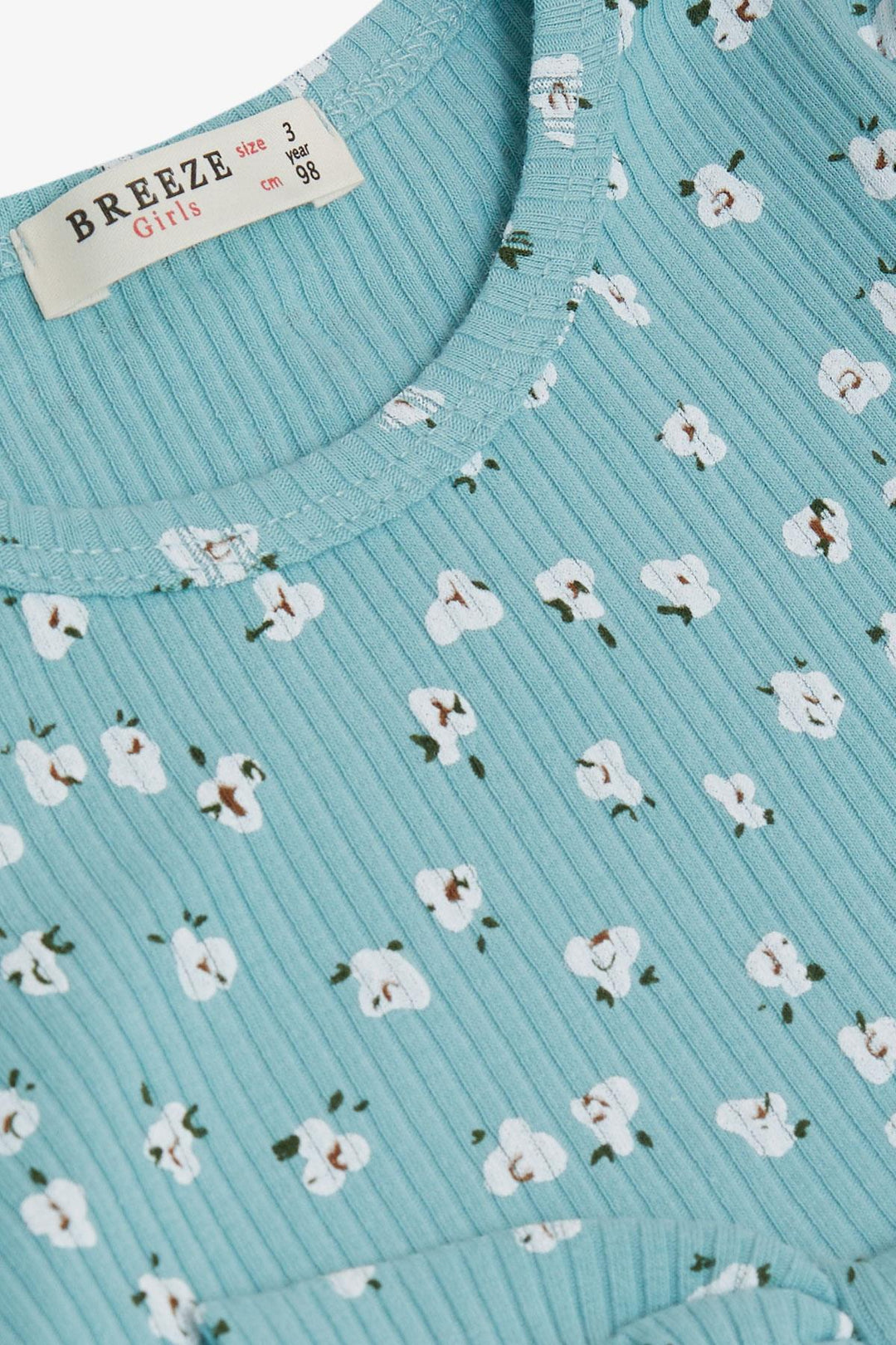 BRE Breeze Girl Child Long Sleeve Dress with Flower Pattern Ruffled Bow 3-7 Years, Aqua Green - Blackpool