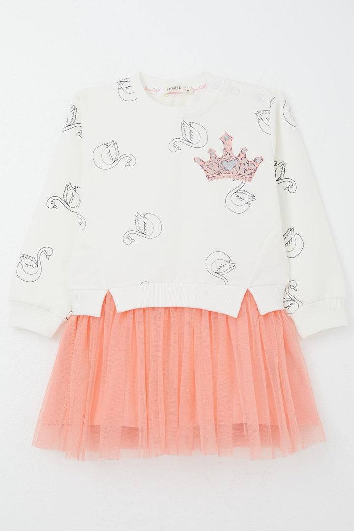 BRE Breeze Girl Child Long Sleeve Dress with Swan Pattern Glitter Crown Print 1.5-5 Years, Ecru - Duisburg