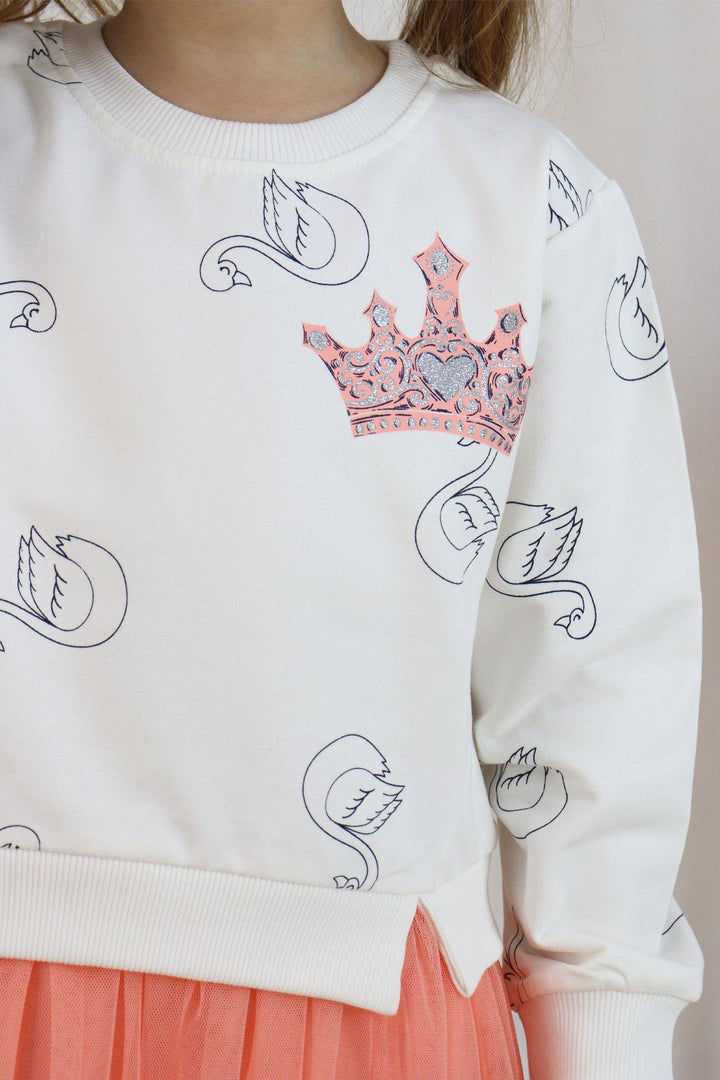 BRE Breeze Girl Child Long Sleeve Dress with Swan Pattern Glitter Crown Print 1.5-5 Years, Ecru - Duisburg