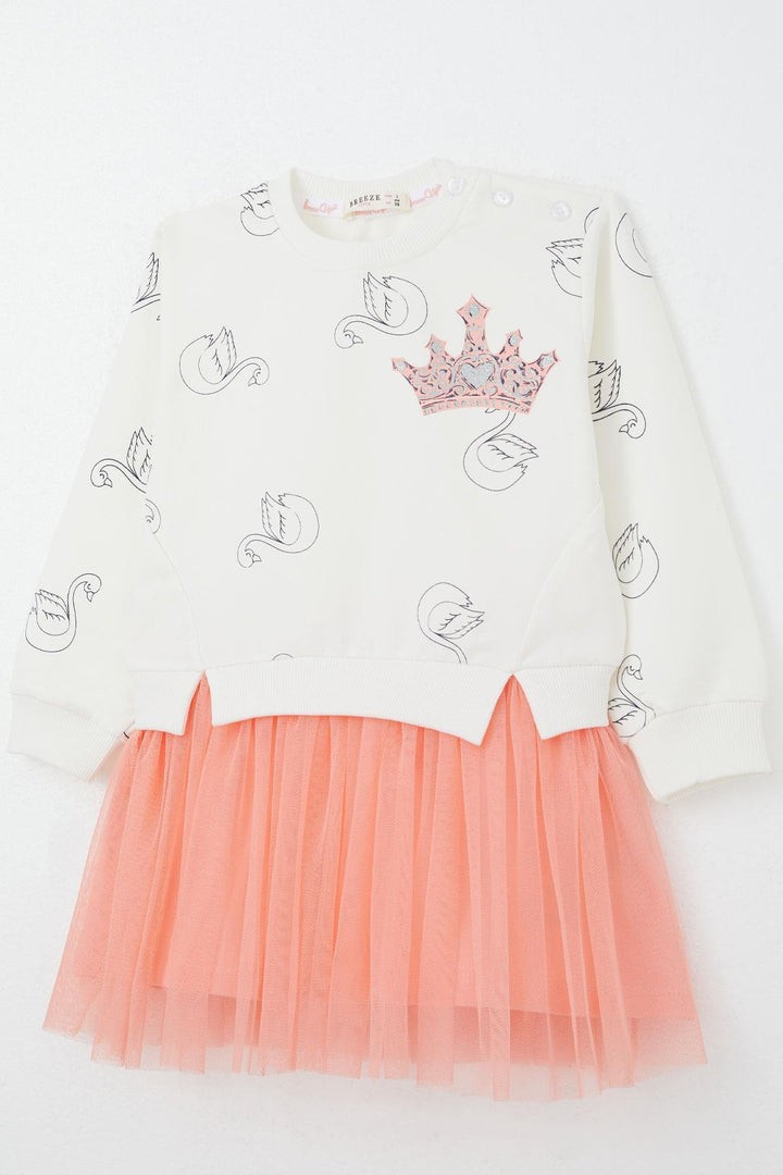BRE Breeze Girl Child Long Sleeve Dress with Swan Pattern Glitter Crown Print 1.5-5 Years, Ecru - Duisburg