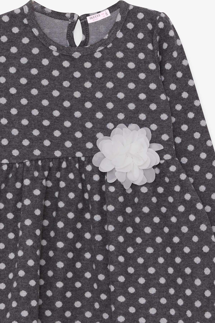 BRE Breeze Girl Child Long Sleeve Dress Polka Dot White Floral 3-7 Years, Smoke Gray - Santa María Atzompa