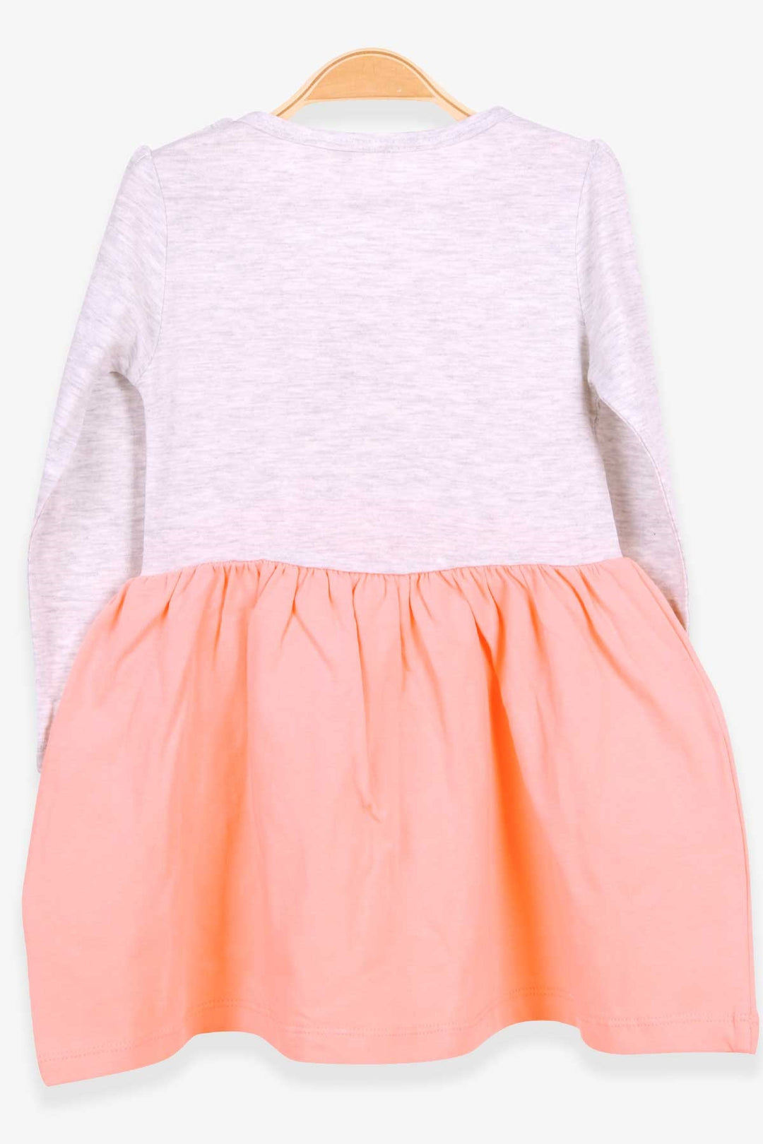 BRE Breeze Girl Child Long Sleeve Dress with Glittery Duck Print 1.5-5 Years, Light Grey Melange - Evanston