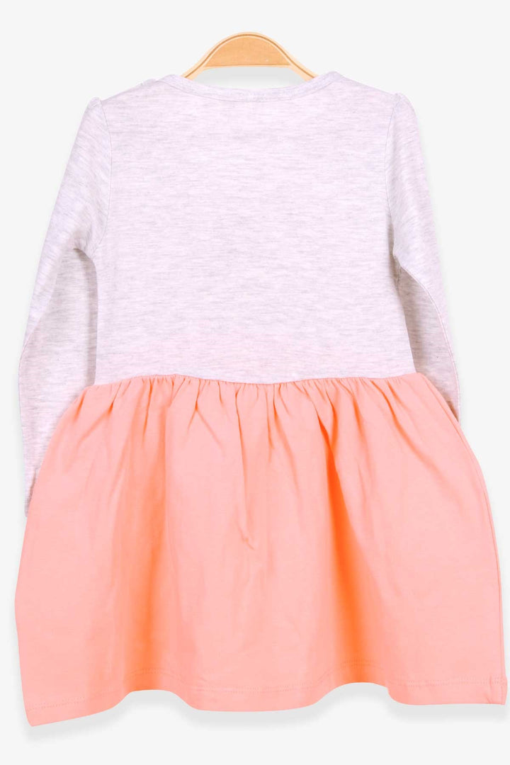 BRE Breeze Girl Child Long Sleeve Dress with Glittery Duck Print 1.5-5 Years, Light Grey Melange - Evanston