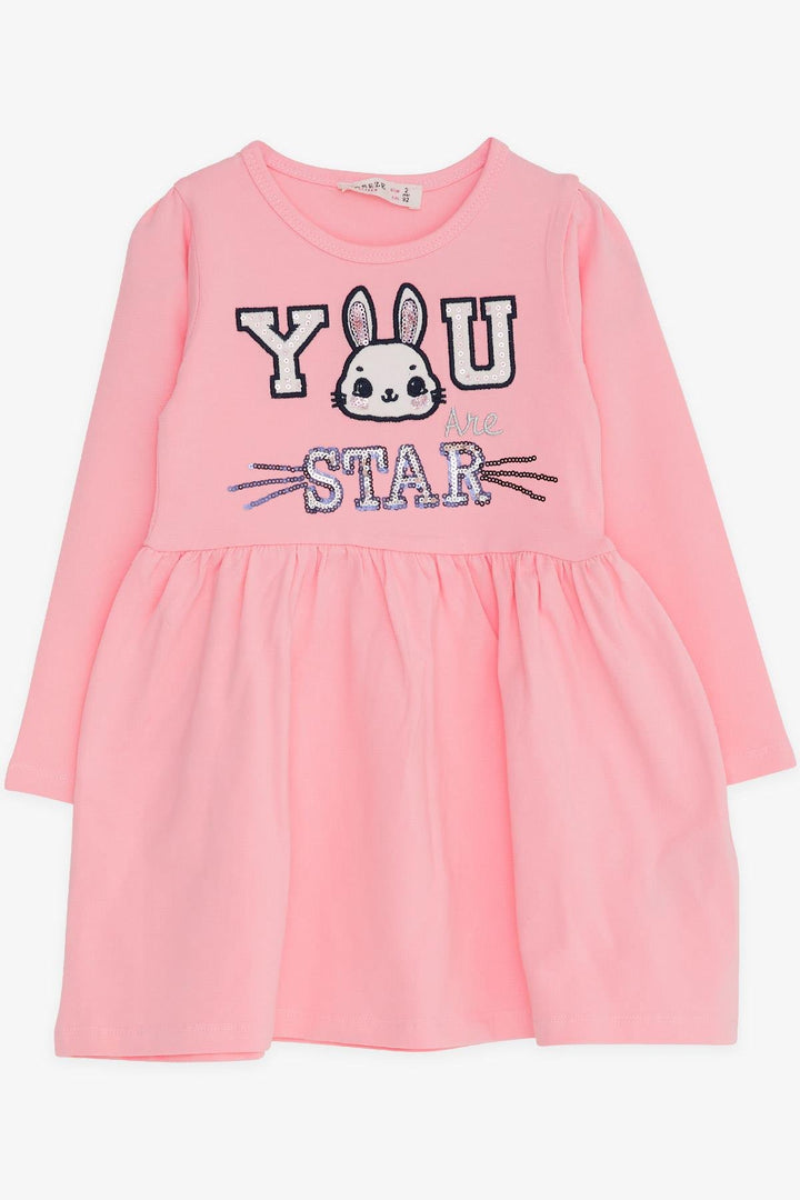 BRE Breeze Girl Child Long Sleeve Dress with Rabbit Embroidery 2-6 Years, Powder - Avellino