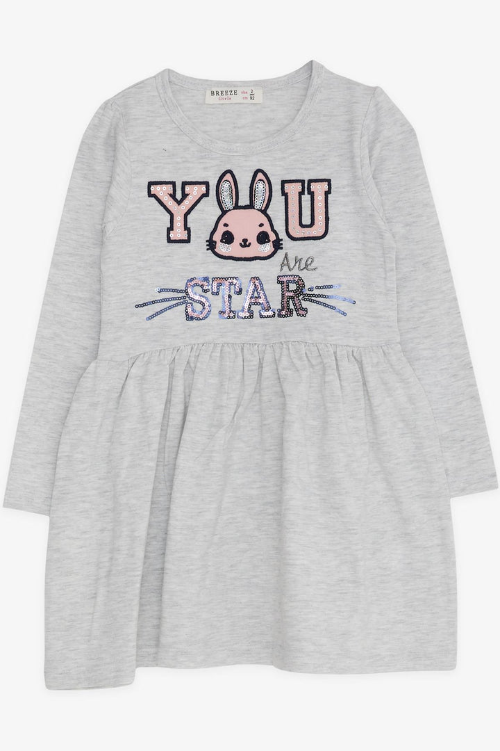 BRE Breeze Girl Child Long Sleeve Dress with Rabbit Embroidery 2-6 Years, Grey Melange - Pisa