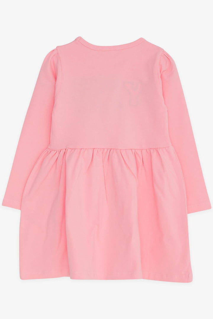 BRE Breeze Girl Child Long Sleeve Dress with Rabbit Embroidery 2-6 Years, Powder - Avellino