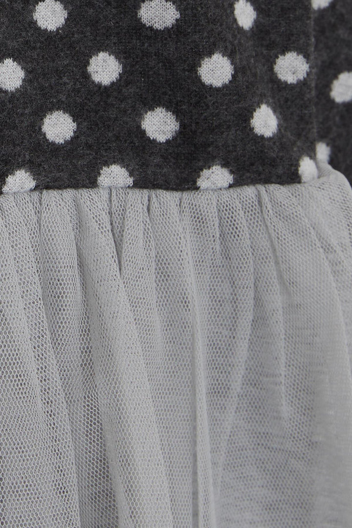 BRE Breeze Girl Child Long Sleeve Dress with Tulle Bow 1.5-5 Years, Anthracite - Wilmington
