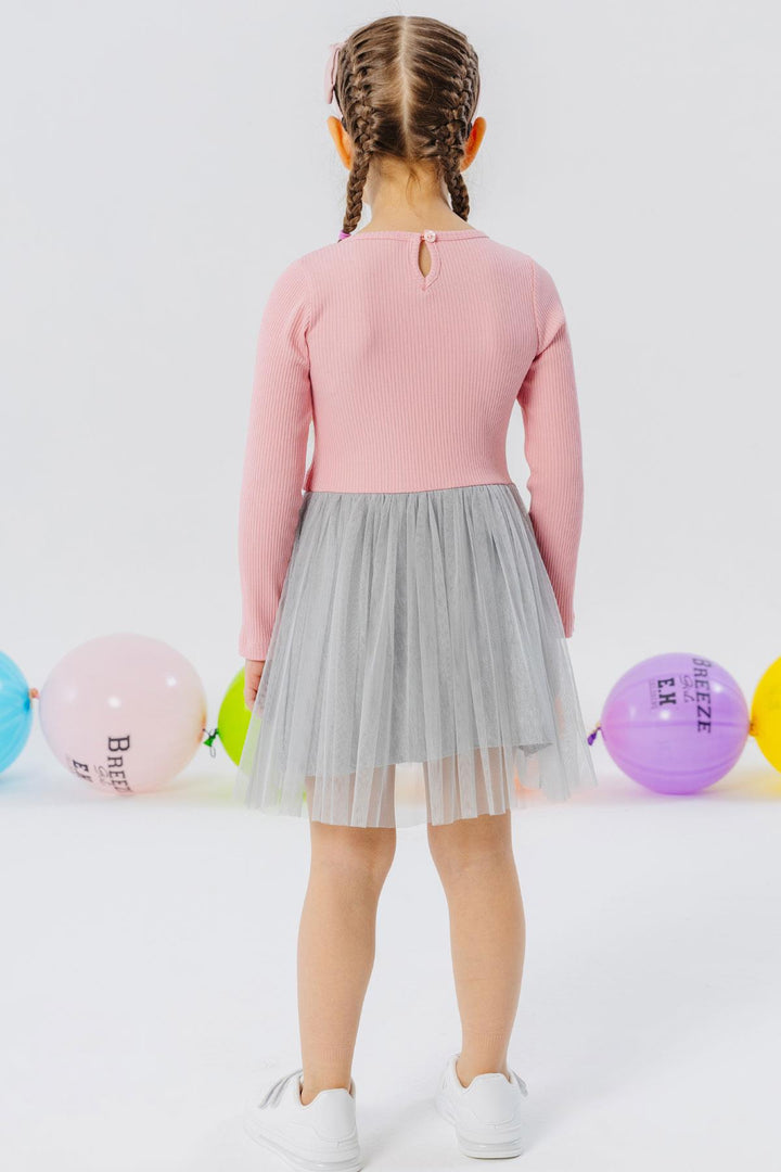BRE Breeze Girl Child Long Sleeve Dress Tulle 3-8 Years, Pink - South Hill