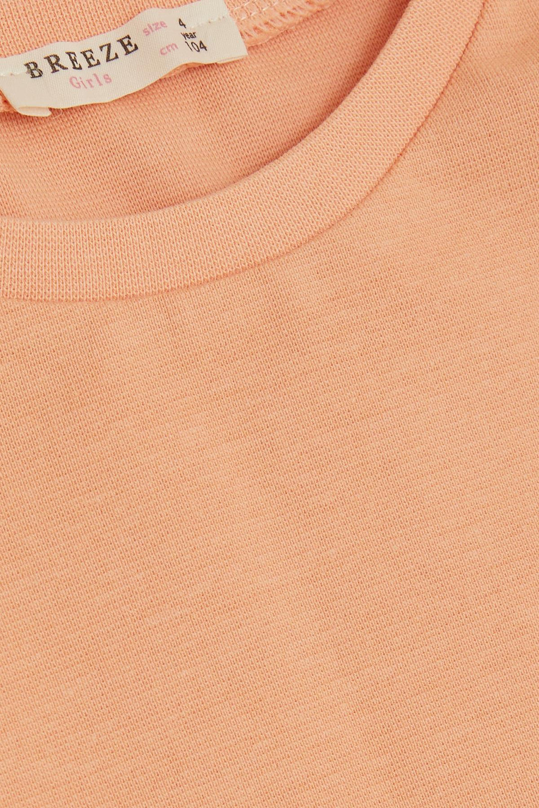 BRE Breeze Girl Child Long Sleeve T-Shirt Basic 1-4 Years, Salmon - Guaymas