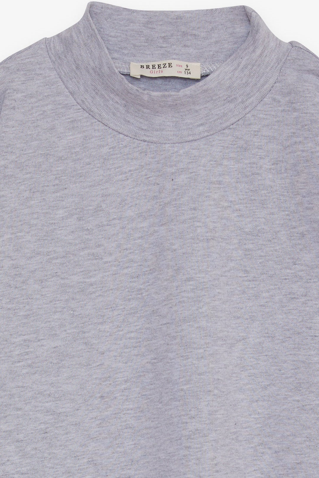 BRE Breeze Girl Child Long Sleeve T-Shirt Basic 92 Years, Grey Melange - Madison