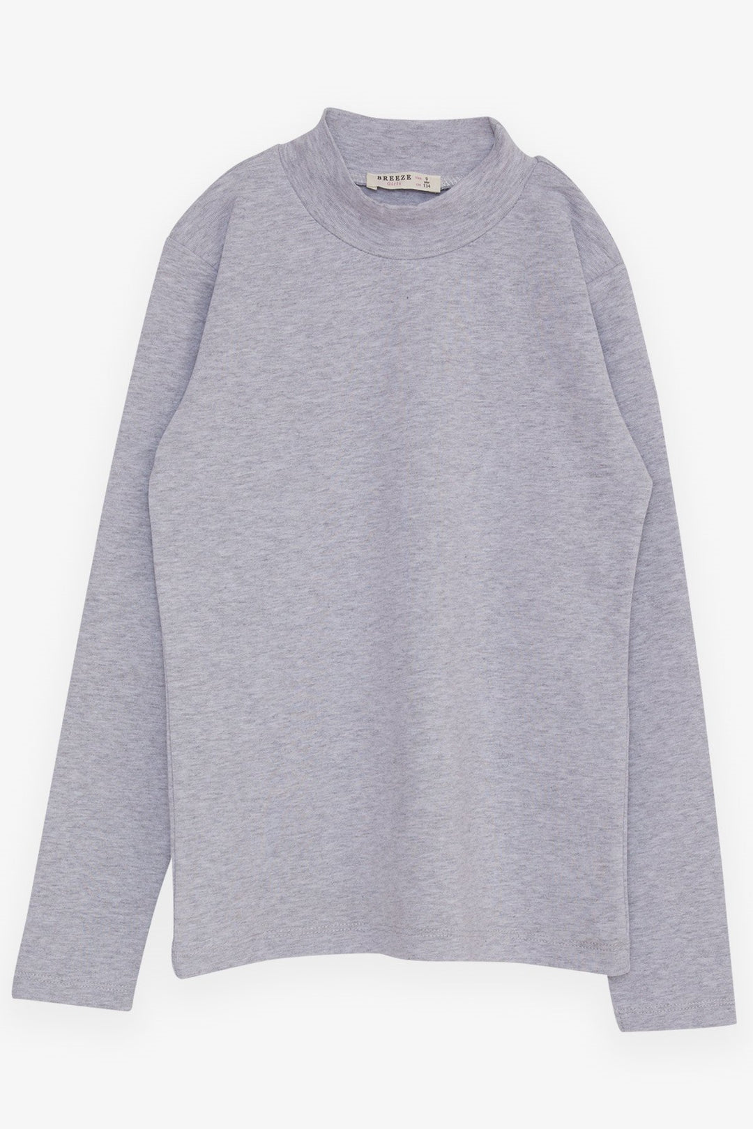 BRE Breeze Girl Child Long Sleeve T-Shirt Basic 92 Years, Grey Melange - Madison