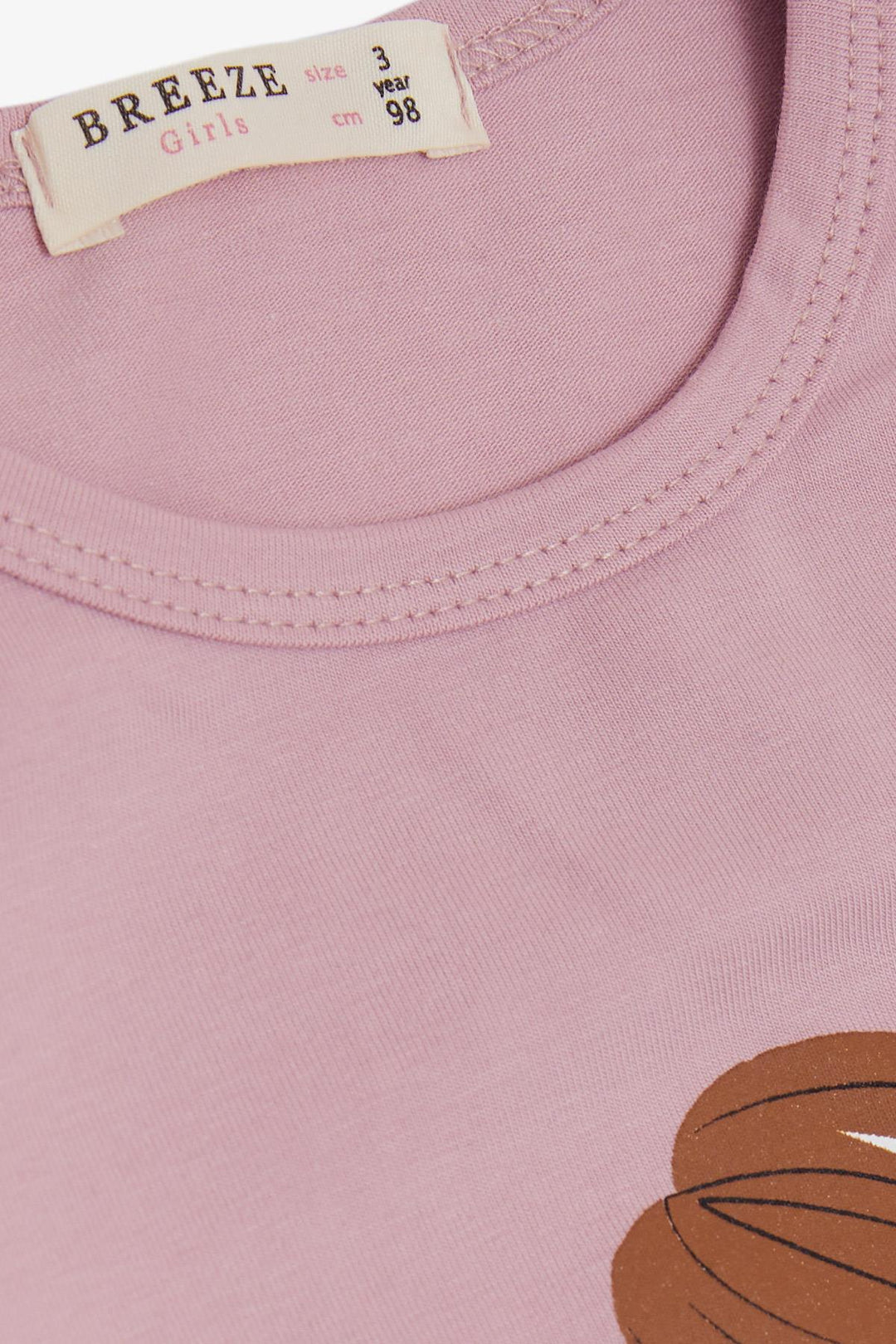 BRE Breeze Girl Child Long Sleeve T-Shirt Friendship Themed Girl Printed 1-4 Years, Pink - Cookeville