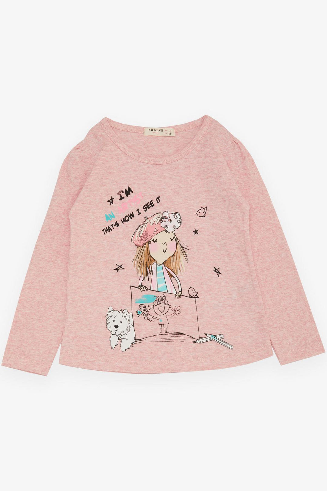 BRE Breeze Girl Child Long Sleeve T-Shirt Feeling Like an Artist Girl Printed 3-8 Years, Salmon Melange - Dublin