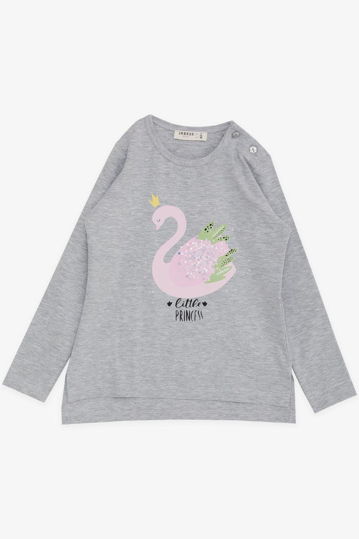 BRE Breeze Girl Child Long Sleeve T-Shirt Princess Swan Printed Sequined 2-6 Years, Grey Melange - Carrollton