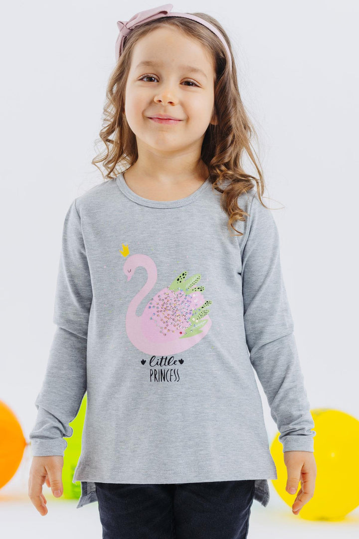 BRE Breeze Girl Child Long Sleeve T-Shirt Princess Swan Printed Sequined 2-6 Years, Grey Melange - Carrollton