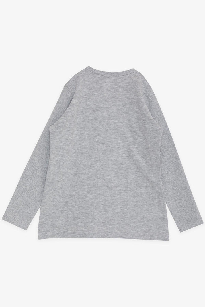 BRE Breeze Girl Child Long Sleeve T-Shirt Princess Swan Printed Sequined 2-6 Years, Grey Melange - Carrollton