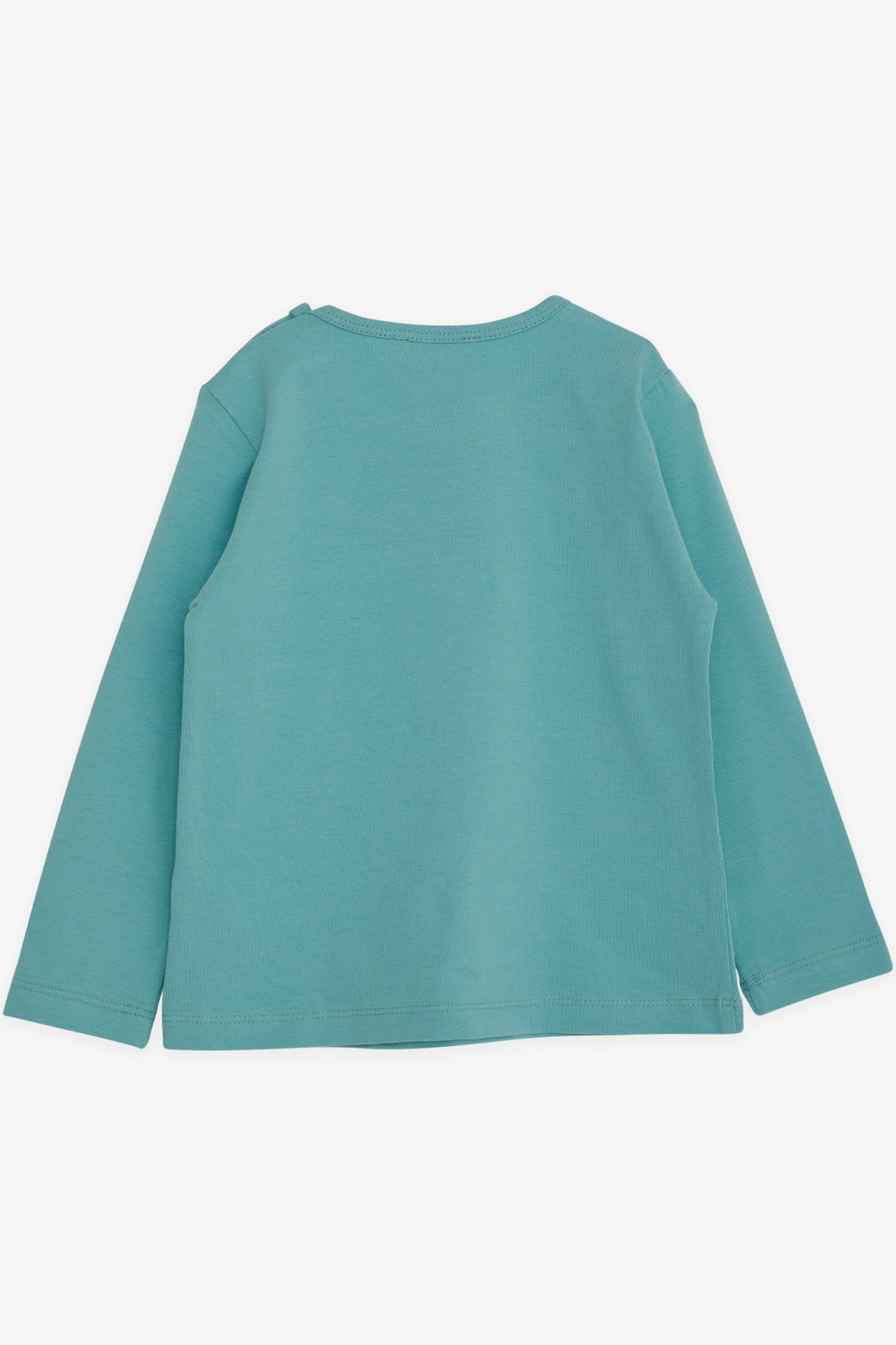 BRE Breeze Girl Child Long Sleeve T-Shirt Cute Moon Printed 2-6 Years, Mint Green - Deinze