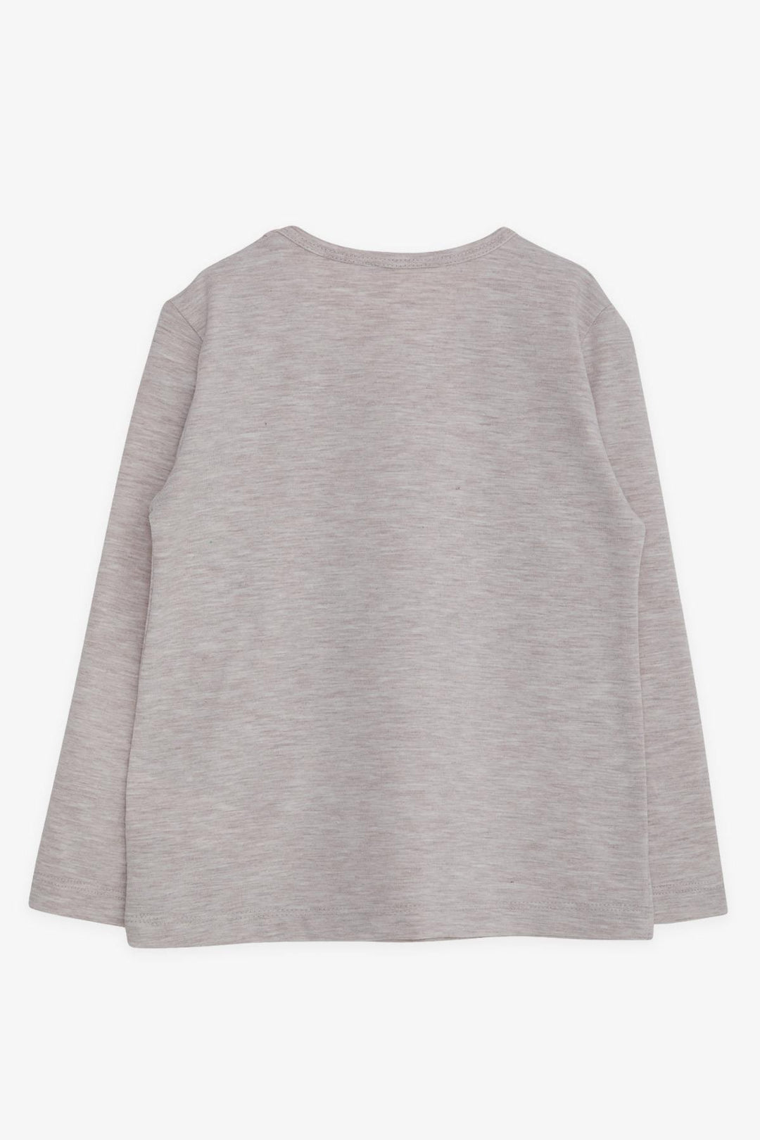 BRE Breeze Girl Child Long Sleeve T-Shirt Cute Moon Printed 2-6 Years, Beige Melange - Port Huron