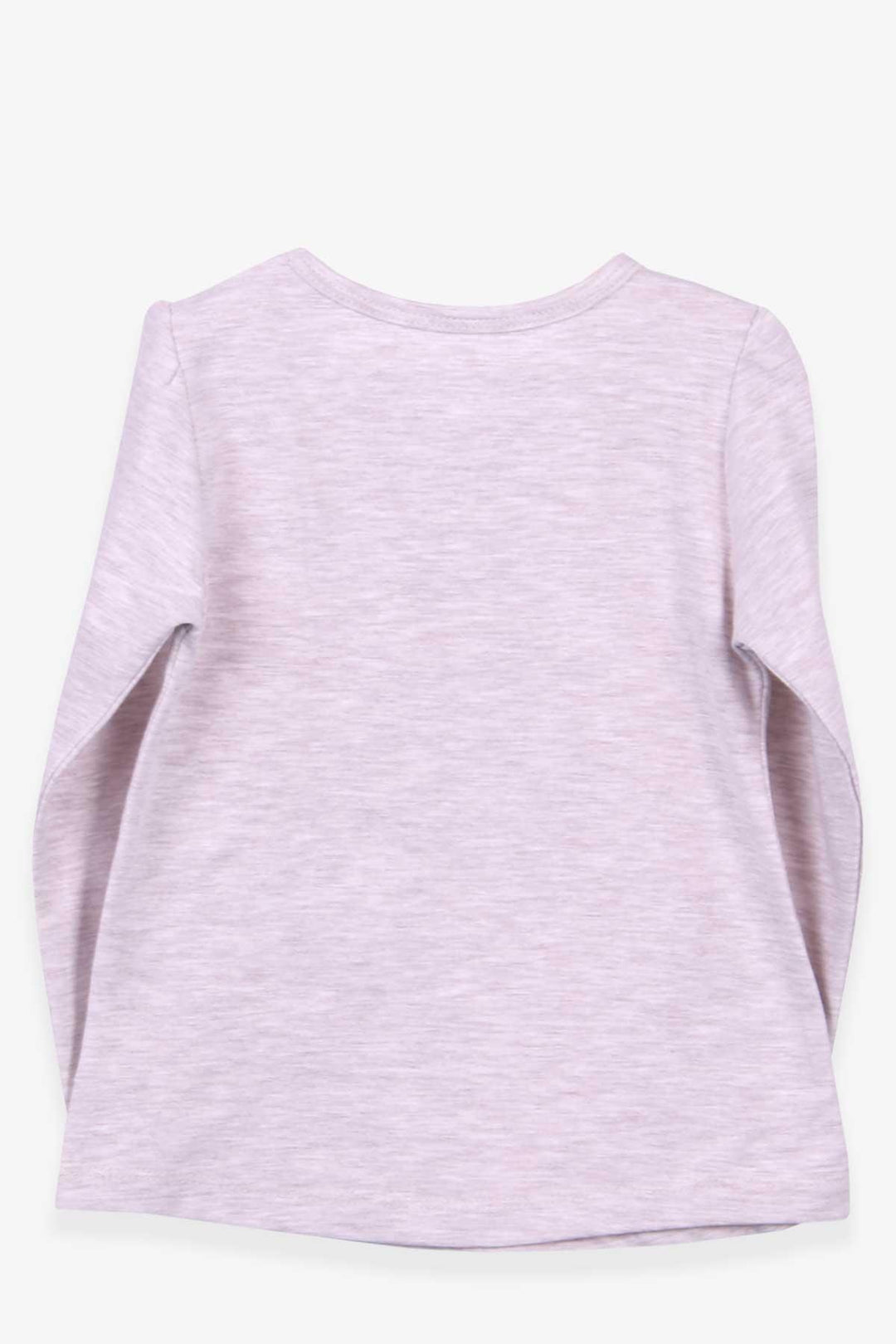 BRE Breeze Girl Child Long Sleeve T-Shirt Unicorn 2-6 Years, Beige Melange - Chino