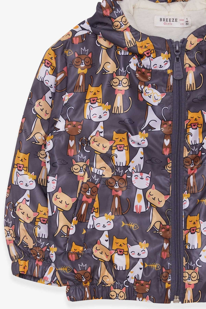 BRE Breeze Girl Child Raincoat with Kitty Pattern, 1-6 Years, Smoke Gray - San José del Rincón Centro