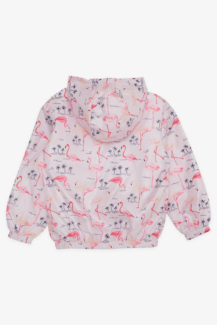 BRE Breeze Girl Child Raincoat Cute Flamingo Patterned 1-5 Years, Powder - Whitby