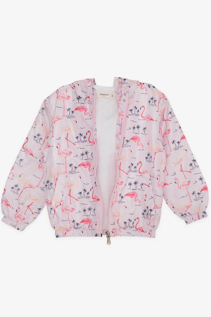 BRE Breeze Girl Child Raincoat Cute Flamingo Patterned 1-5 Years, Powder - Whitby