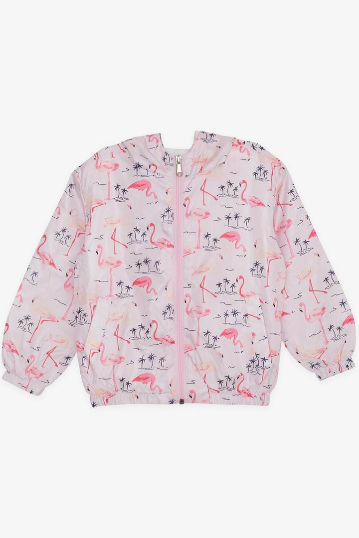 BRE Breeze Girl Child Raincoat Cute Flamingo Patterned 1-5 Years, Powder - Whitby