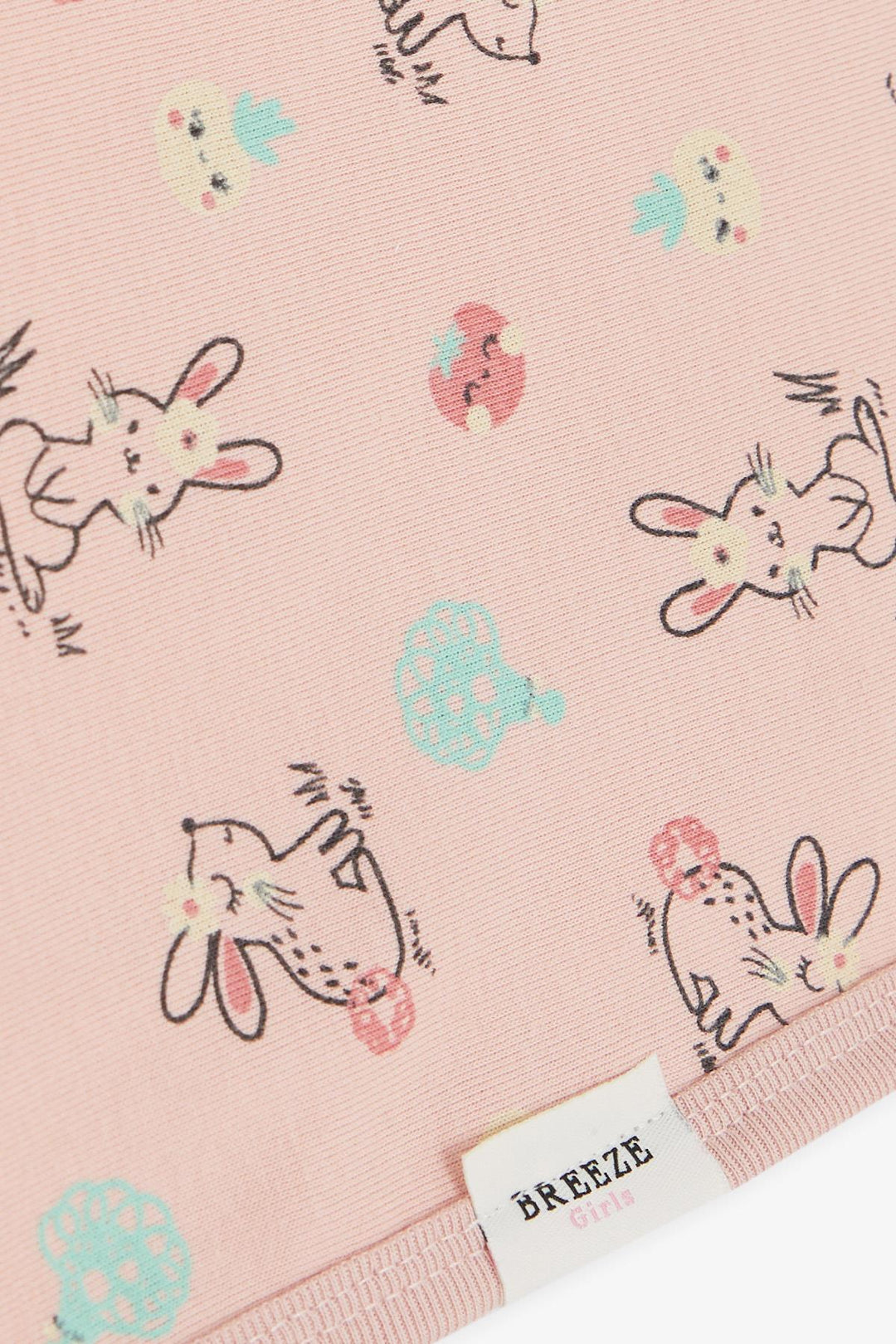 BRE Breeze Girls & Boys Newborn Baby Blanket Spring Themed Bunny Patterned Salmon - Columbus