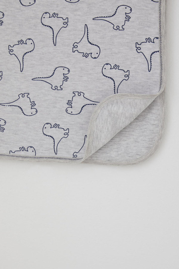 BRE Breeze Newborn Baby Blanket Cute Baby Dinosaurs Patterned Standard, Light Grey Melange - Santa Clara