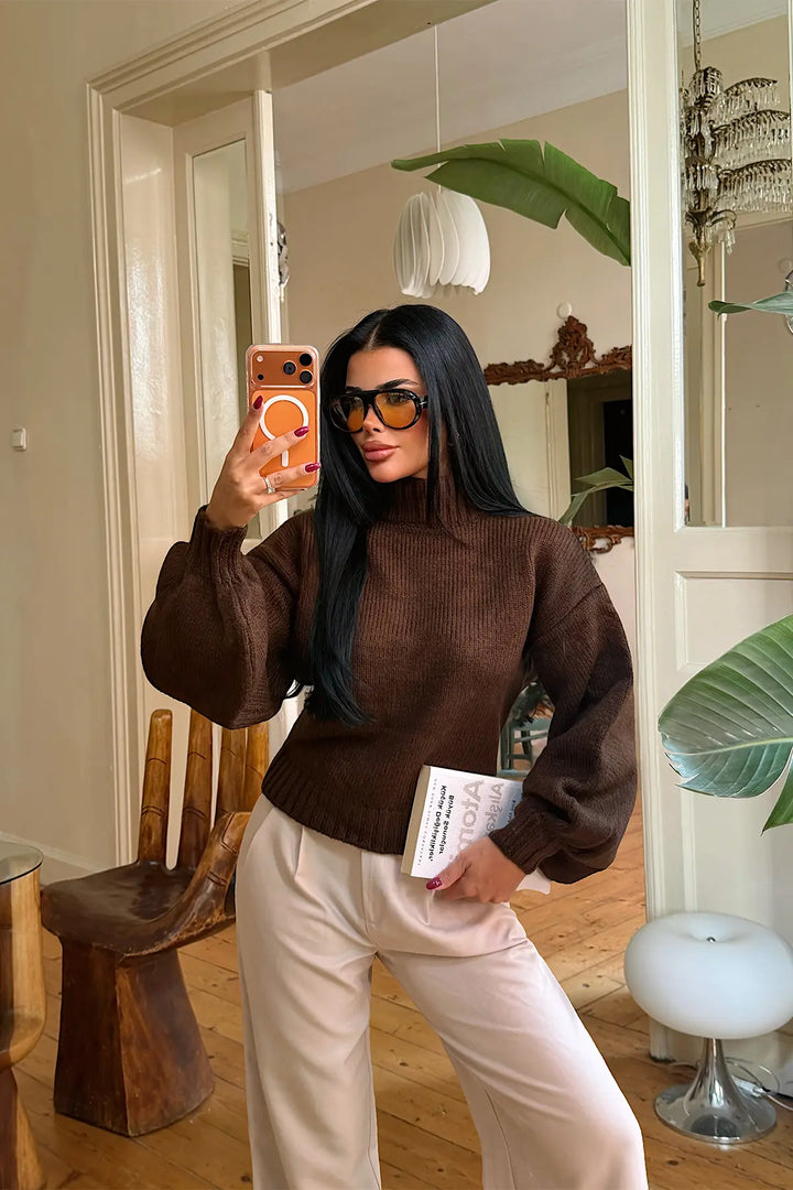 EYY Women Brown Knit Sweater - Hacienda Heights