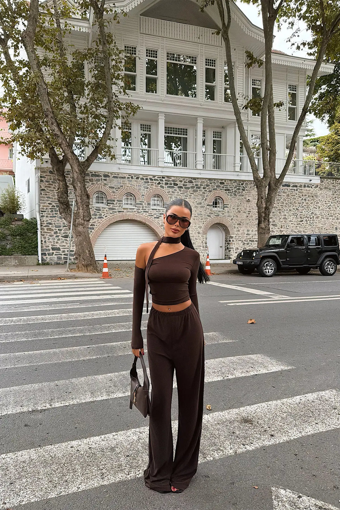 EYY Women Brown Trouser Suit - Tooele