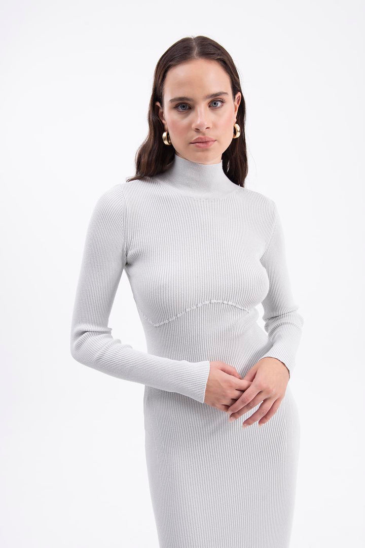 BSL Women High neck knitted pencil dress - Mount Pleasant