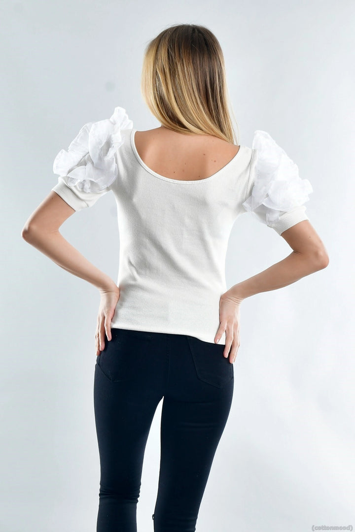 Ecru Eyelash Princess Sleeve Tulle Detailed Blouse CO-2520021929 - Dundalk