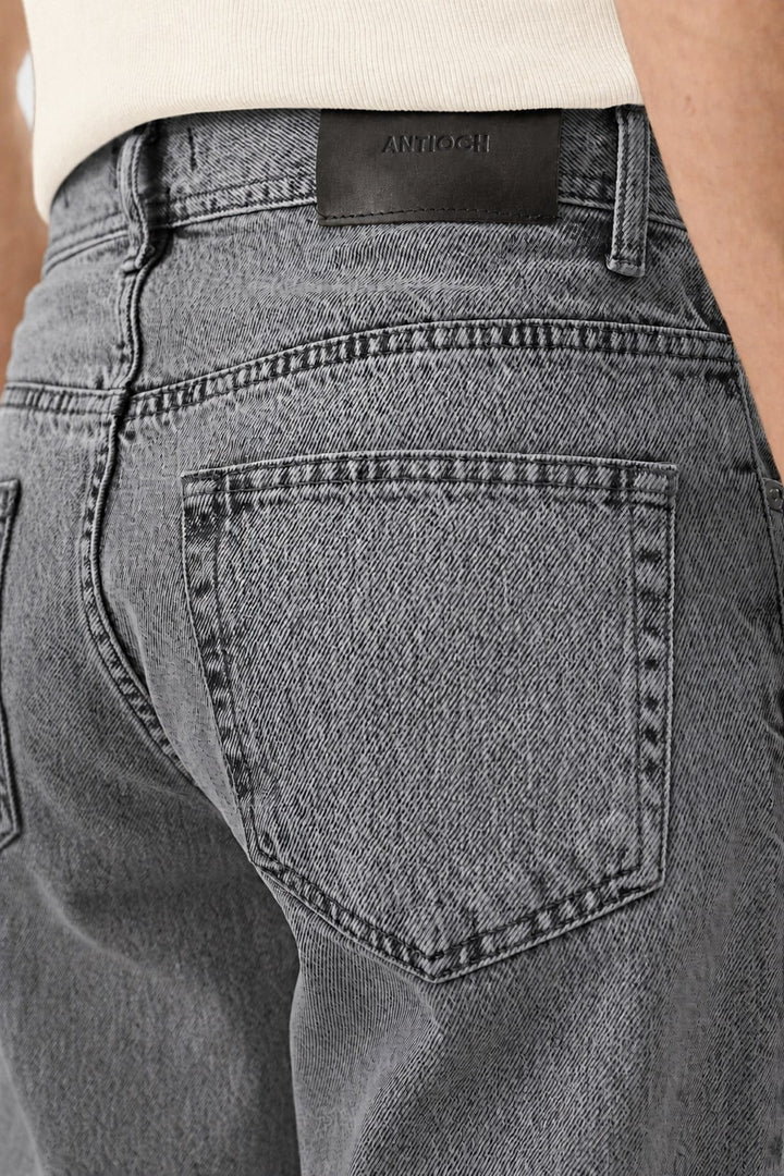 ANT Antioch Gri Regular Fit Erkek Jean - Parkersburg