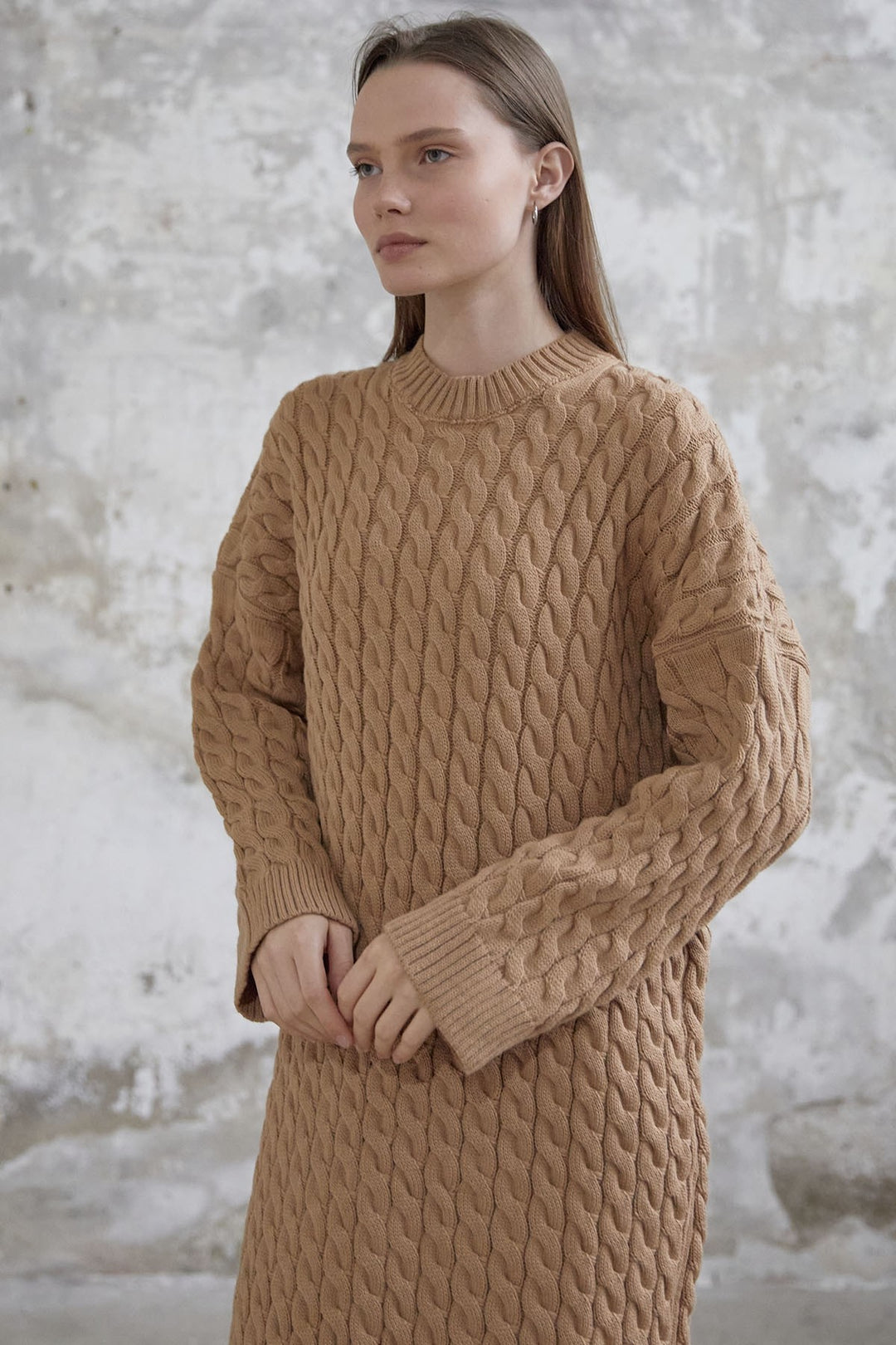 MDS Women Everly Knitted Patterned Sweater Dress - Camel - Arcadia