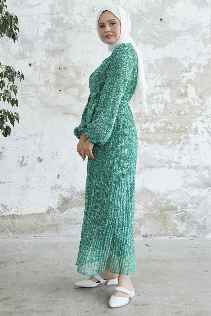 MDS Women Striped Crispy Pattern Chiffon Dress - Green - Lompoc