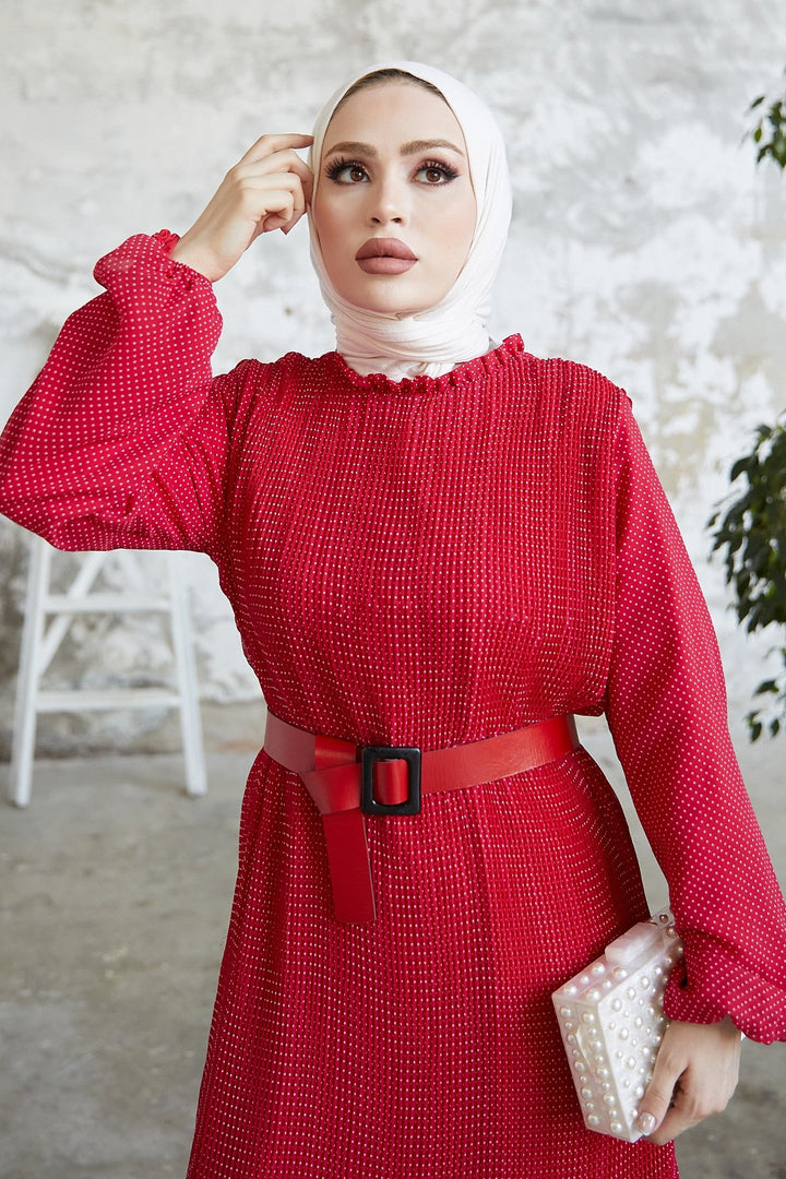 MDS Women Minda Crispy Polka Dot Chiffon Dress - Red - Brunswick