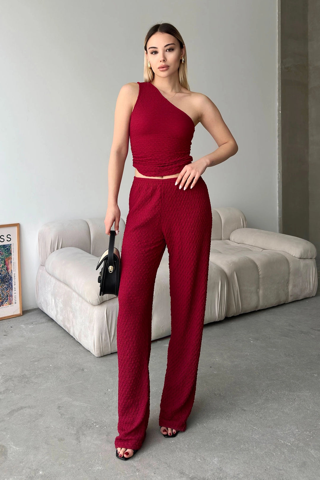 Burgundy Soft Textured Blouse with One Shoulder Neckline and Palazzo Pants Set BCZK-25SA326-SA327 - Ocala