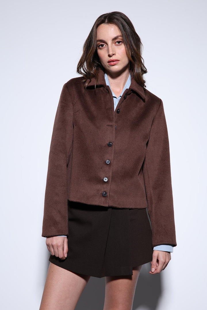 ANT Antioch Coffee Shirt Collar Short Coat - Moita